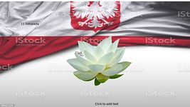 Zimnik Maja